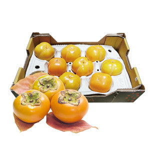 [H&Y] Israel Persimmon / 이스라엘 단감 (10pcs)